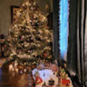 Meet your Posher, Jose